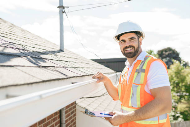 Best Roof Gutter Cleaning  in Wadsworth, IL